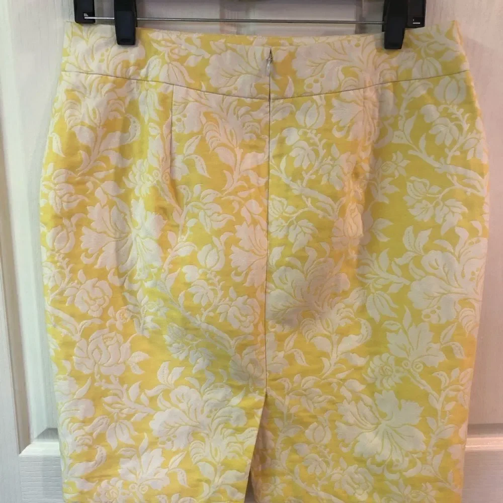 Ann Taylor pencil skirt, NWOT